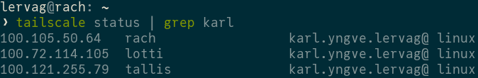 tailscale status